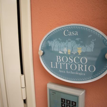 Le Dimore Di Ulisse A Gela - Casa Vacanze B&B - Bosco Littorio - Area Archeologica Exterior photo